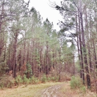 Adjoins NF- Utilities- Creek images 4