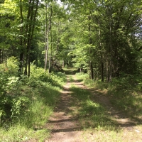 12 Acre Camp Lot Bordering State Land Duane NY images 2