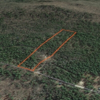 12 Acre Camp Lot Bordering State Land Duane NY images 4
