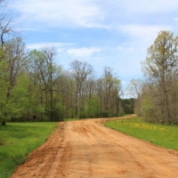 Big Swamp Creek Hunting Timber Tract images 5