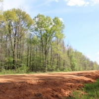 Big Swamp Creek Hunting Timber Tract images 6