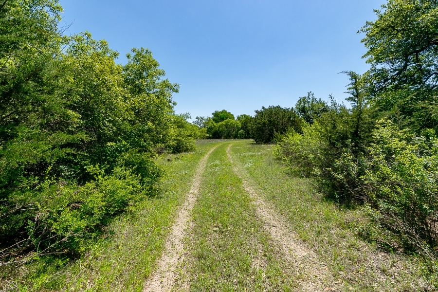 117 Acres - Scenic Raw Land featured image
