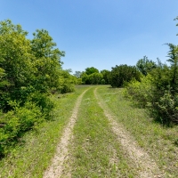 117 Acres - Scenic Raw Land images 1