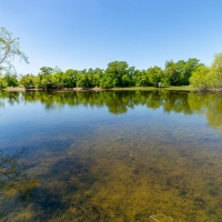 117 Acres - Scenic Raw Land images 2
