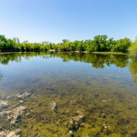 117 Acres - Scenic Raw Land images 3