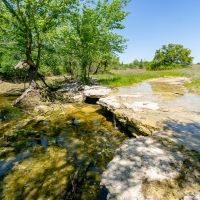 117 Acres - Scenic Raw Land images 4