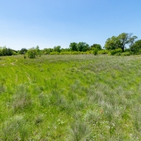 117 Acres - Scenic Raw Land images 5