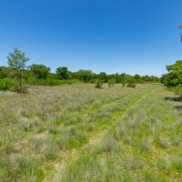 117 Acres - Scenic Raw Land images 6