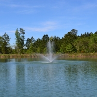 Hickory Head Farm images 3