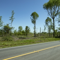 48.57 Acres in Jefferson County images 5