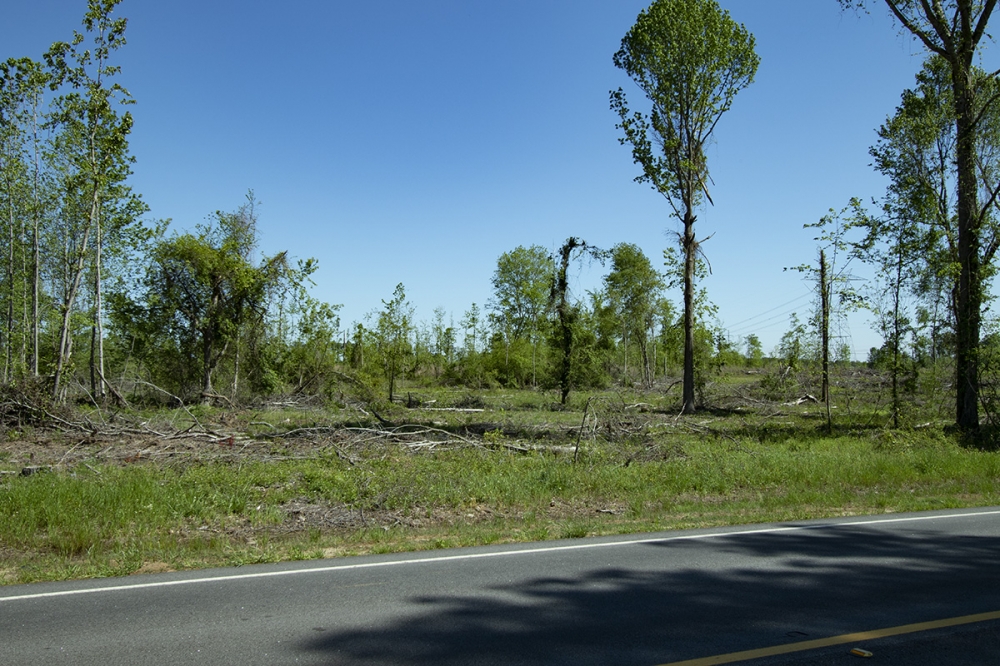 48.57 Acres in Jefferson County featured image