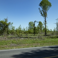 48.57 Acres in Jefferson County