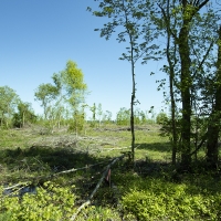 48.57 Acres in Jefferson County images 3