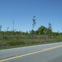 5.41 Acres in Jefferson County