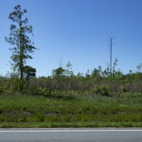 5.41 Acres in Jefferson County images 4