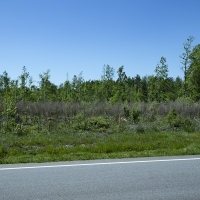 5.41 Acres in Jefferson County images 3