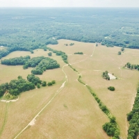 200 Acres Pastureland Tract for Sale Amite County MS images 2