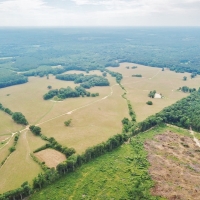 200 Acres Pastureland Tract for Sale Amite County MS images 3