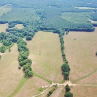 200 Acres Pastureland Tract for Sale Amite County MS images 4
