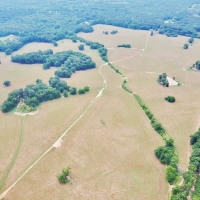 200 Acres Pastureland Tract for Sale Amite County MS images 5