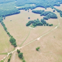 200 Acres Pastureland Tract for Sale Amite County MS images 6