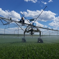 Lake Francis Irrigated Farm images 2