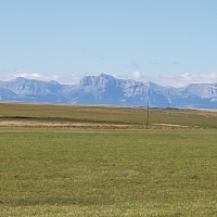Lake Francis Irrigated Farm images 4