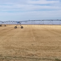 Lake Francis Irrigated Farm images 6