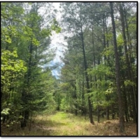 160.5 Acres in Lafayette County in Oxford MS images 2