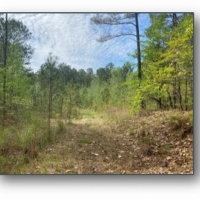 160.5 Acres in Lafayette County in Oxford MS images 4