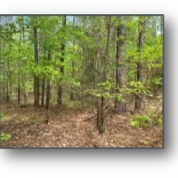 160.5 Acres in Lafayette County in Oxford MS images 6