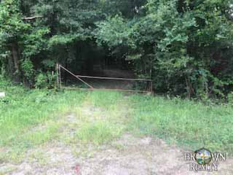 LA - Ouachita Caire 90 acres - featured image