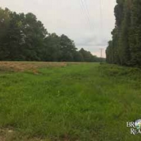 LA - Ouachita Caire 90 acres - images 2