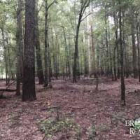 LA - Ouachita Caire 90 acres - images 4