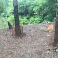 LA - Ouachita Caire 90 acres - images 6