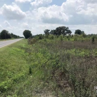 LA - Richland Clack 198 acres -