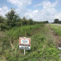 LA - Richland Clack 198 acres - images 3