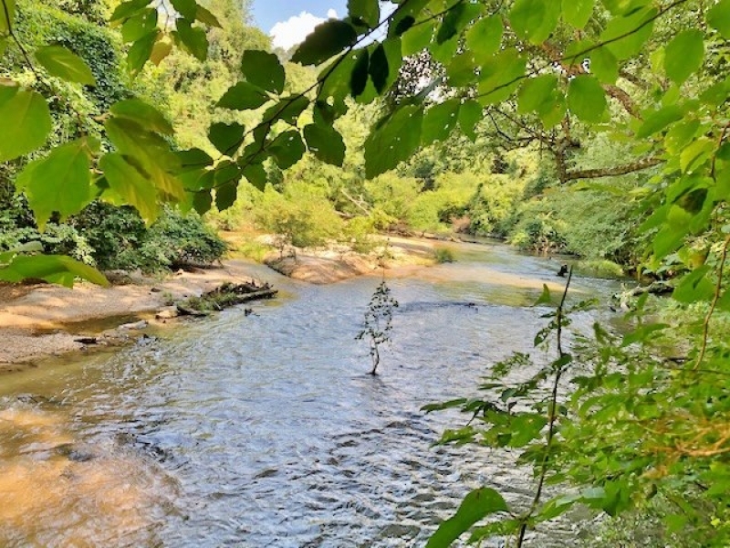 423 Pristine Acres on The Beautiful Topisaw Creek featured image