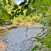 423 Pristine Acres on The Beautiful Topisaw Creek