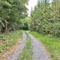 423 Pristine Acres on The Beautiful Topisaw Creek images 4