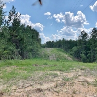 423 Pristine Acres on The Beautiful Topisaw Creek images 5
