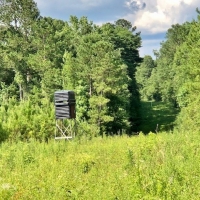 423 Pristine Acres on The Beautiful Topisaw Creek images 6
