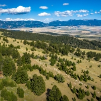 Crazy Elk Ranch images 2