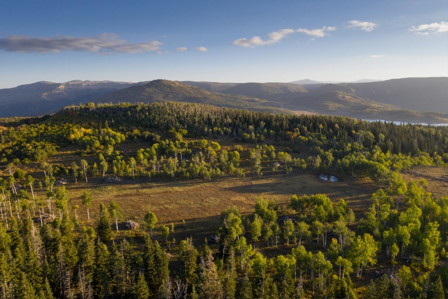 Kolob Mountain Ranch Hunting Land for Sale