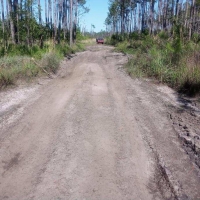 1.25 Acres of Secluded Land Near St. John s River images 4
