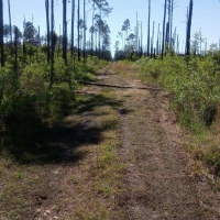 1.25 Acres of Secluded Land Near St. John s River images 2