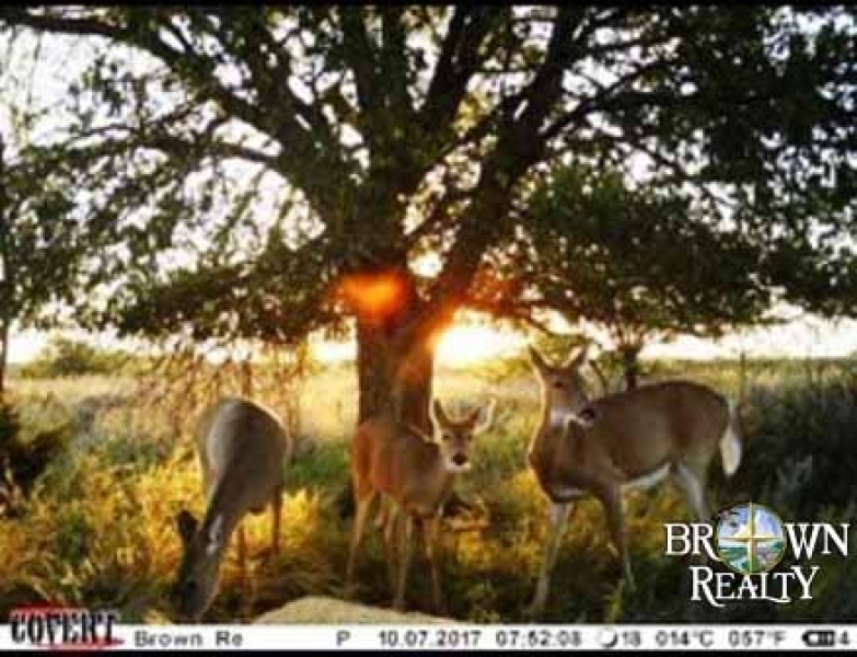 KS - Comanche Lewis Ranch 2640 acres - featured image