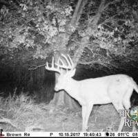 KS - Comanche Lewis Ranch 2640 acres - images 5