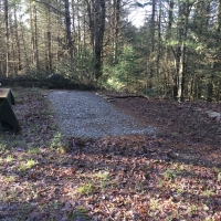 57 acre Cabin Site Bordering State Forest Diana NY images 3