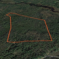 57 acre Cabin Site Bordering State Forest Diana NY images 4